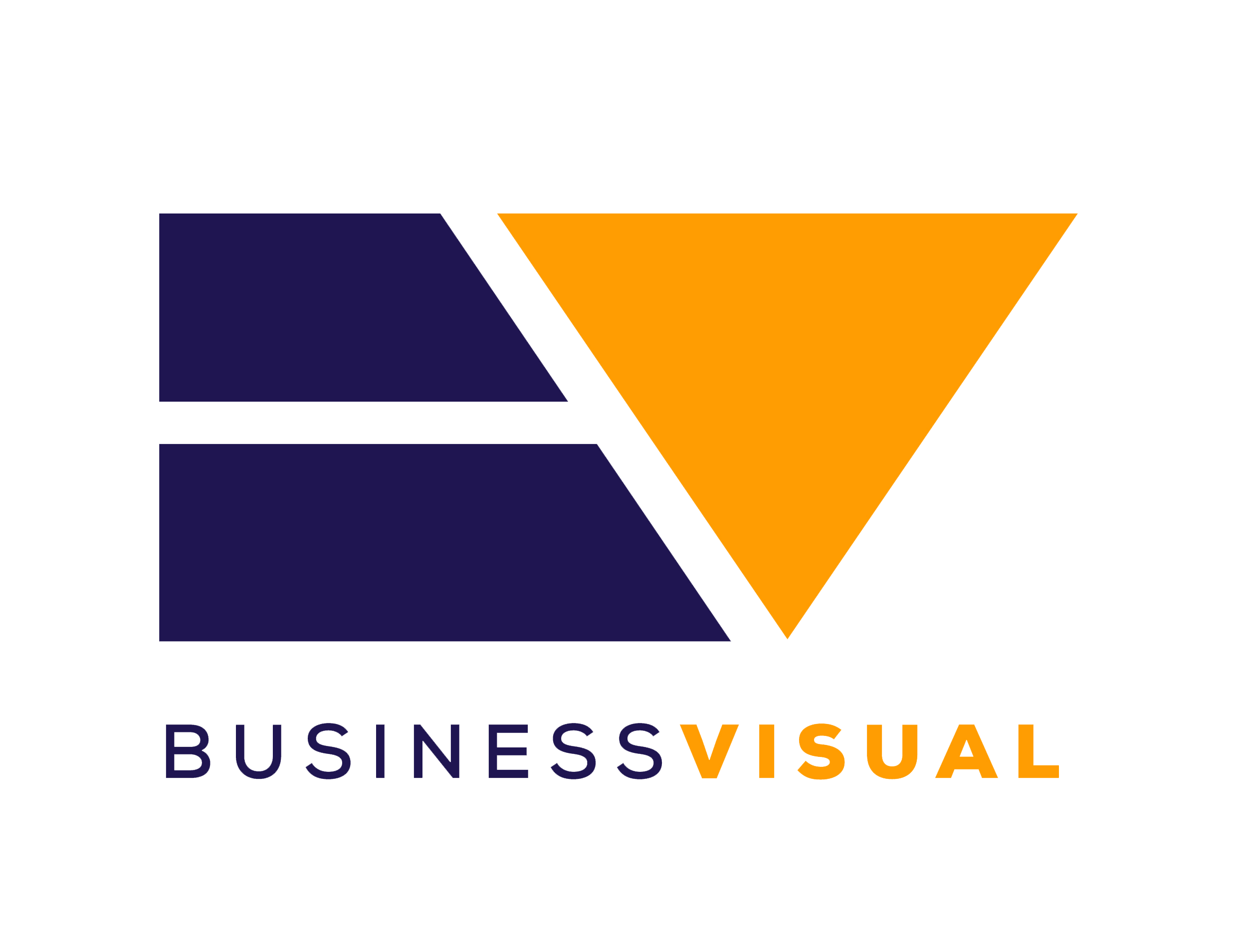 Business Visual